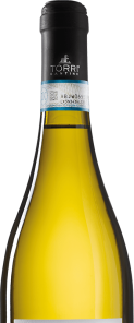 Torri 420 Pecorino Abruzzo DOC 0,75L - immagine 3
