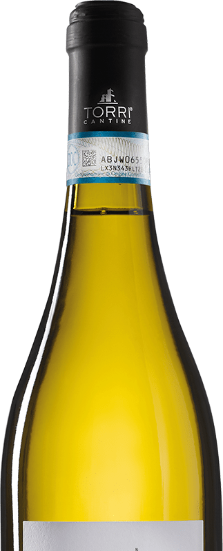 Torri 420 Trebbiano D'Abruzzo DOC 0,75L - immagine 3