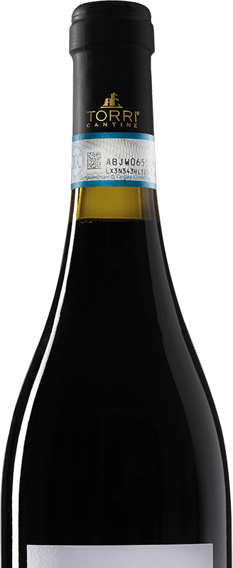 Torri 420 Montepulciano d'Abruzzo DOC 0,75L - immagine 3