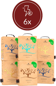 Promo Selezione 6x Bag-in-Box 3 Litri