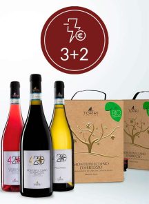 torri-cantine-store-3-2-tipo-b-2