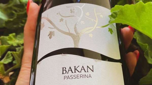 passerina bakan