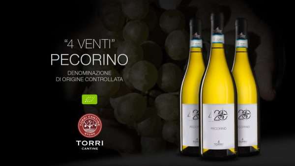pecorino d'abruzzo 4 venti