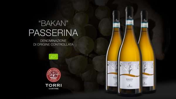 passerina_bakan