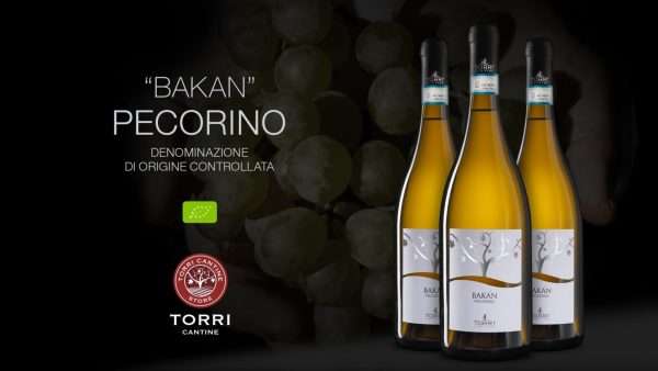 pecorino_bakan