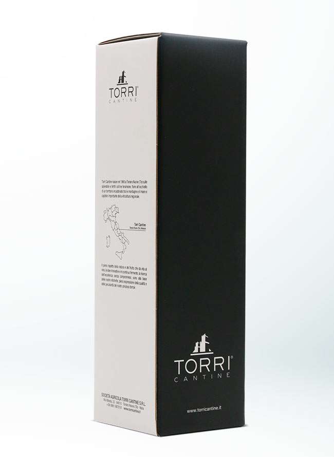 scatola-torri-1
