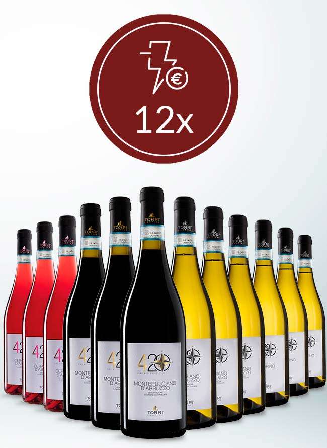 torri-cantine-store-12x420