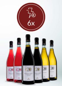 torri-cantine-store-6x420
