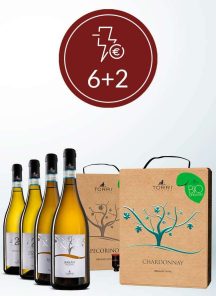 torri-cantine-store-promo-bianchi-21