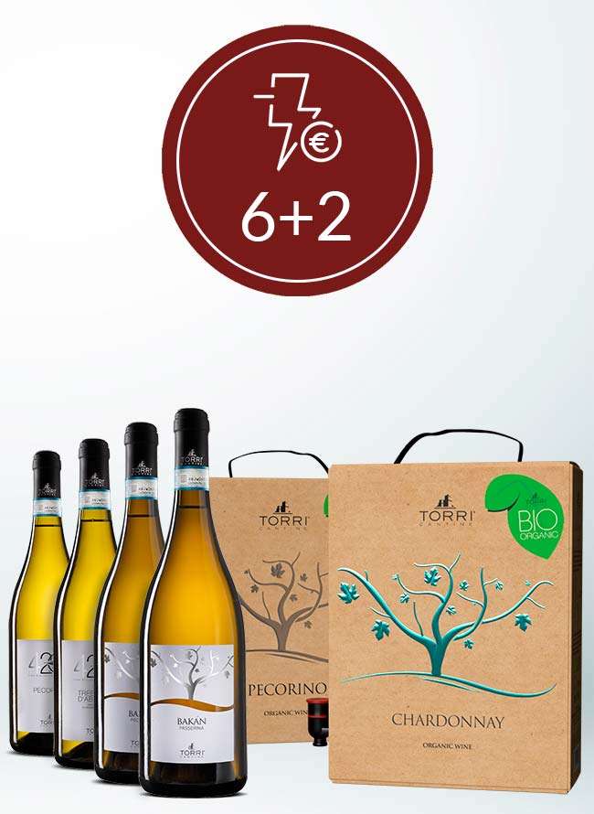 torri-cantine-store-promo-bianchi-21