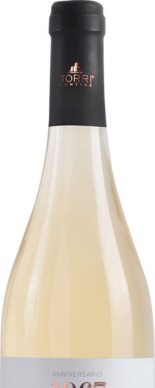 Torri 1967 Pinot Grigio 0,75L - immagine 3