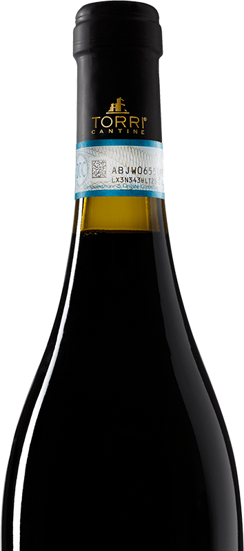 Ca'Natura Montepulciano d'Abruzzo DOC Biologico - immagine 3