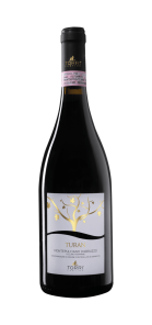 Torri Turà n Montepulciano D'Abruzzo DOCG 0,75L