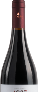 Torri 1967 Primitivo IGT Puglia 0,75L - immagine 3